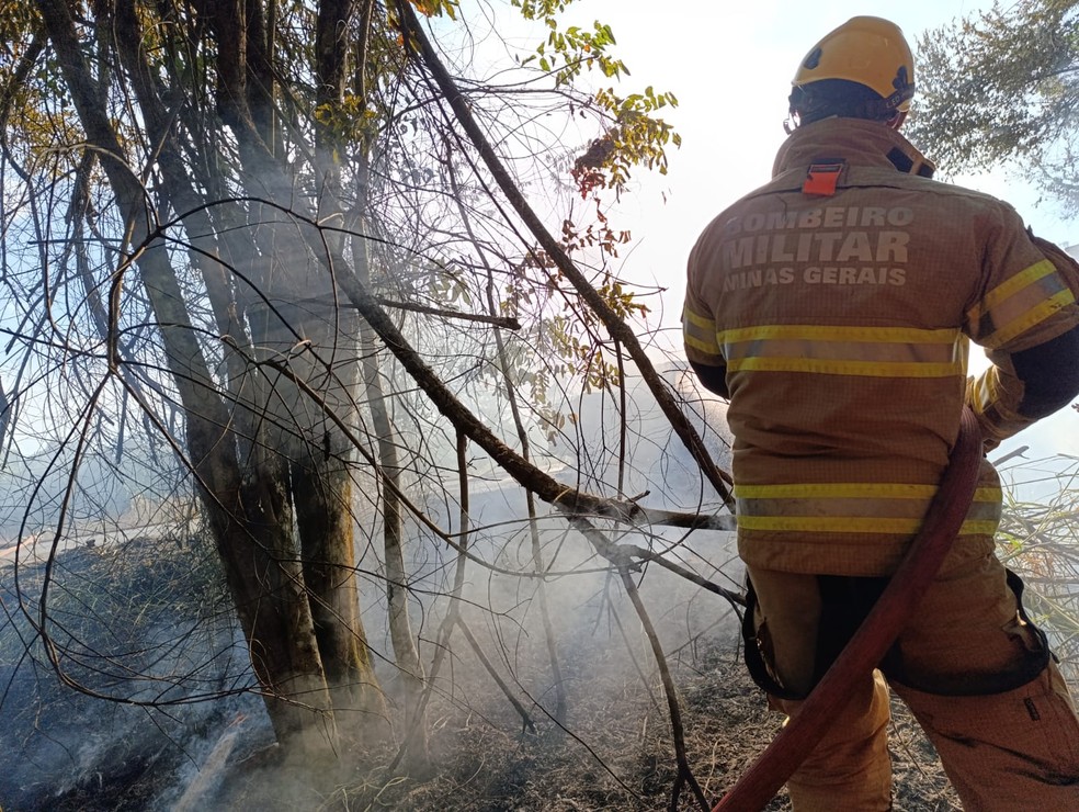 Incêndio em carro se alastra para vegetação — Foto: Corpo de Bombeiros/Divulgação
