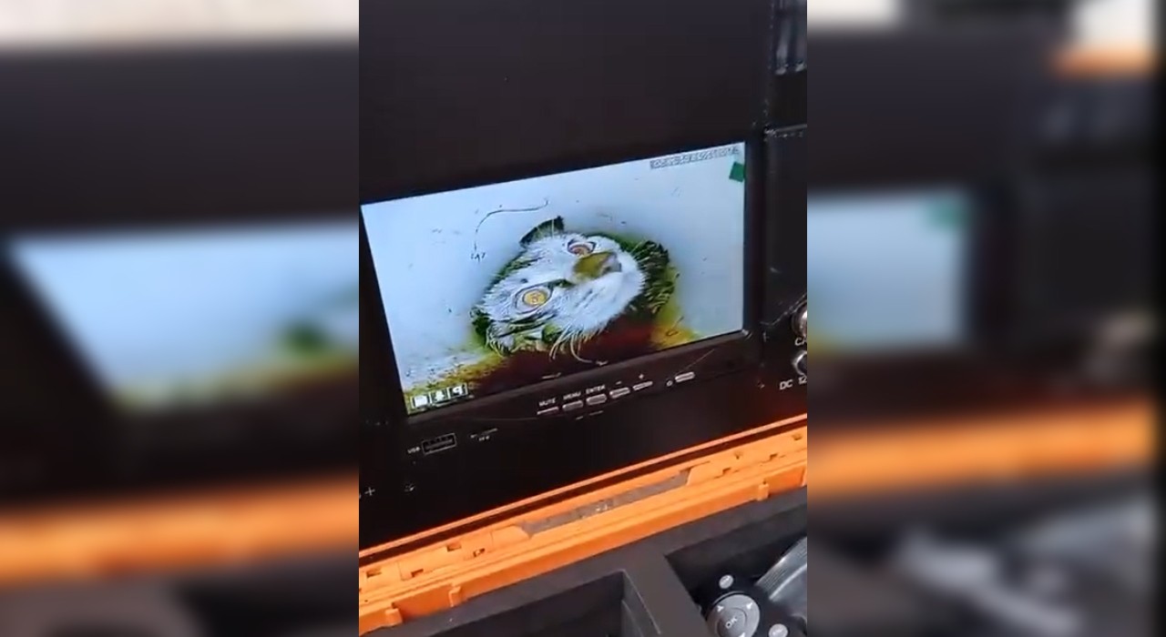 Com auxílio de câmera endoscópica, bombeiros resgatam gata após 40 horas presa em encanamento: 'Miava desesperada'