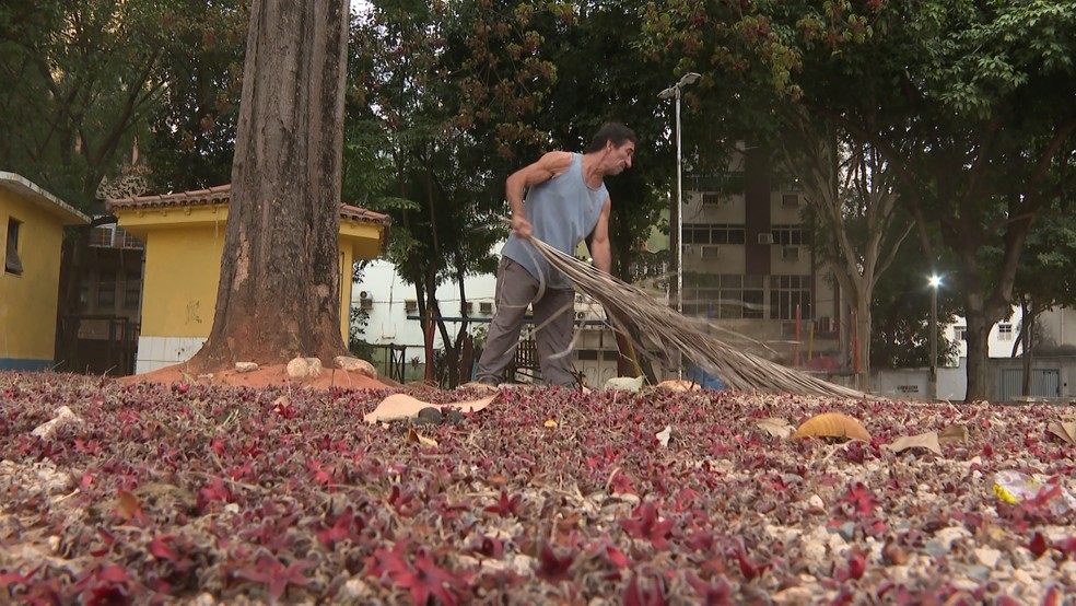 Celídio Barbosa limpa a praça há sete anos e brinca que muitos pensam que cheiro forte vem do banheiro — Foto: Reprodução/ TV Gazeta