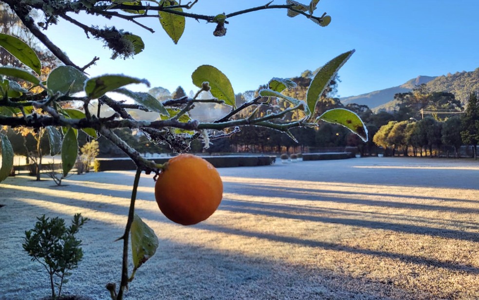 Em Monte Verde, distrito de Camanducaia (MG), os termômetros marcaram menos de 1°C.  — Foto: Nélson Pacheco