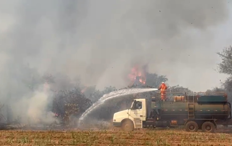Fogo em usina de São Manuel (SP) — Foto: Adriano Baracho/TV TEM