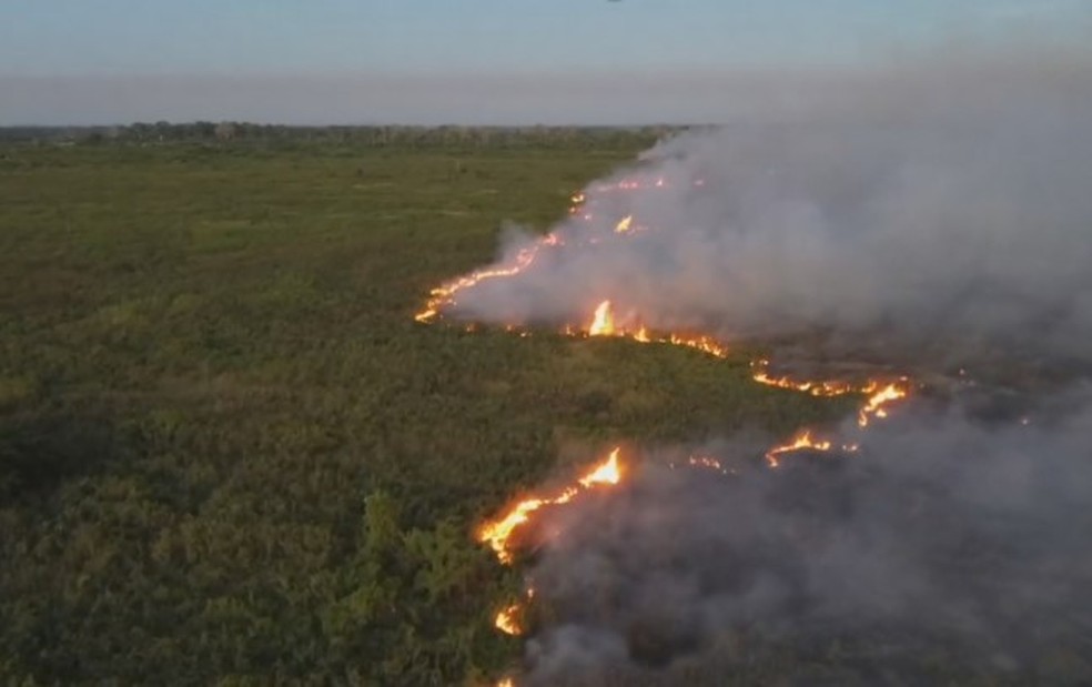 Foto de junho de 2024 - Fogo no Pantanal em 2024 é o pior da série histórica. — Foto: Reprodução