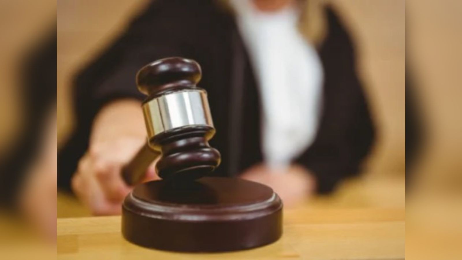 Justiça condena cinco pessoas por associação criminosa, desmatamentos  e invasão de terras públicas no Pará