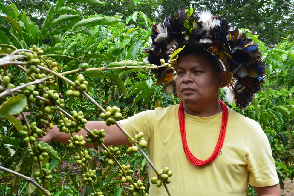 Povo Paiter Suruí trabalha com agricultura familiar e agroflorestal, sempre aliados a sustentabilidade — Foto: Emily Costa/g1 RO