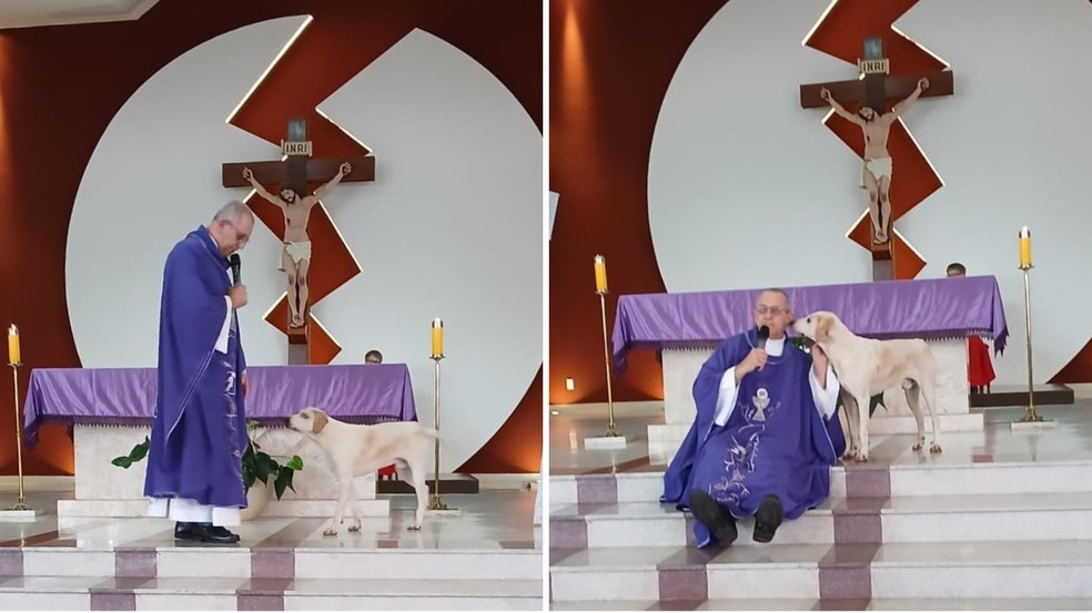 Cachorro começa a frequentar missas e conquista padre, no Paraná — Foto: Arquivo pessoal