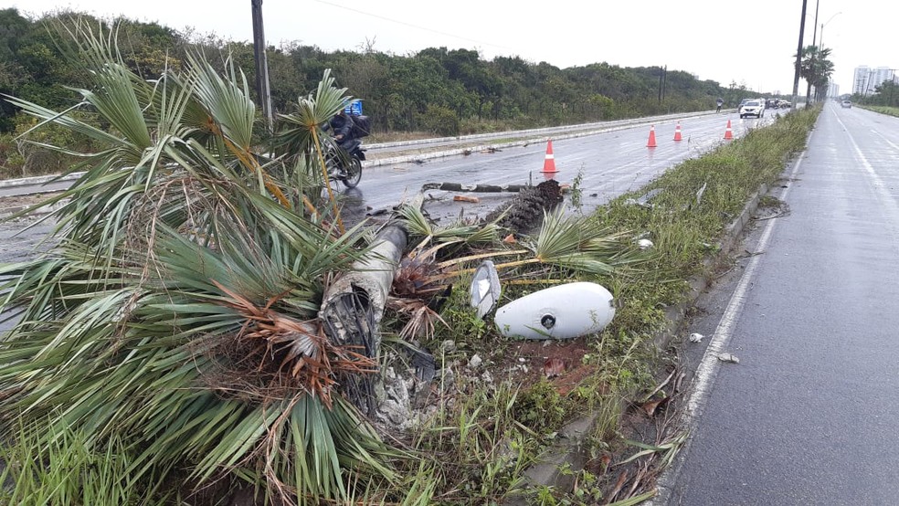 Palmeira derrubada por carro durante acidente na Rota do Sol, na Grande Natal. — Foto: Sérgio Henrique Santos/Inter TV Cabugi
