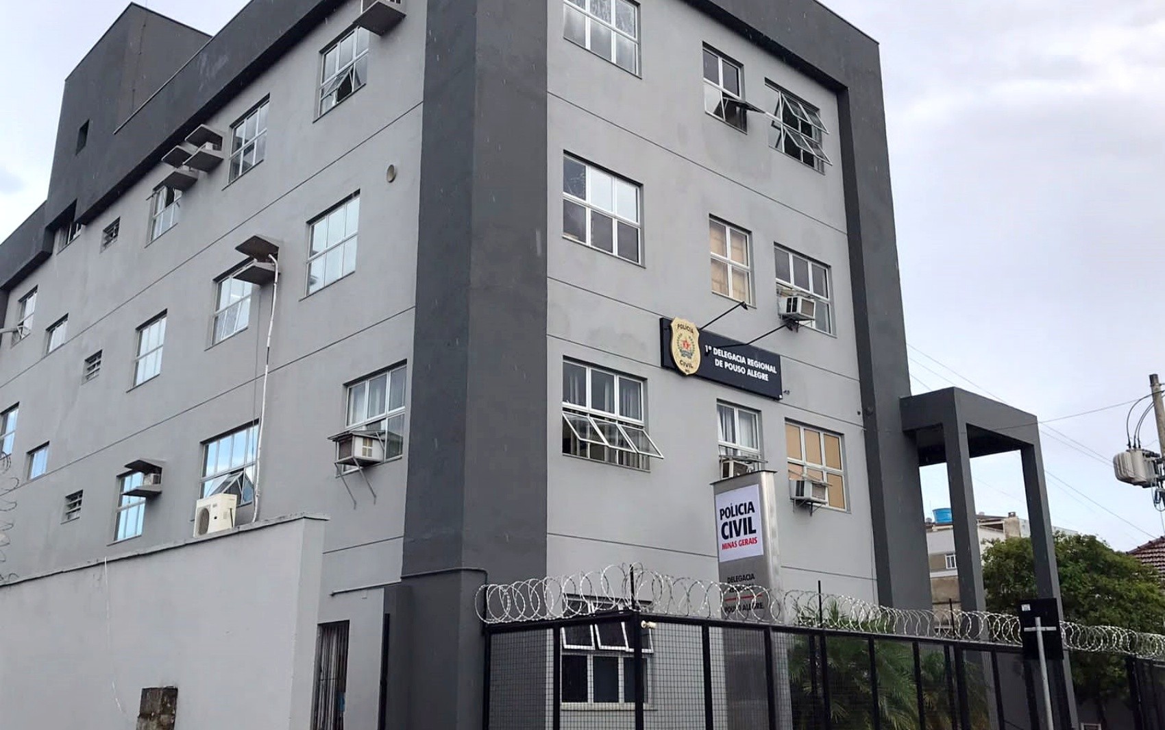 Polícia investiga adolescente suspeito de ter matado cinco gatos e postado nas redes sociais em MG