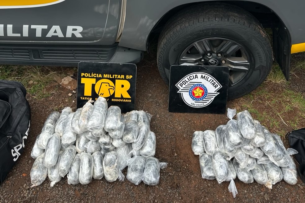 Motorista é preso ao transportar 80 pacotes de "dry" em rodovia de Presidente Prudente (SP) — Foto: Reprodução/Polícia Rodoviária