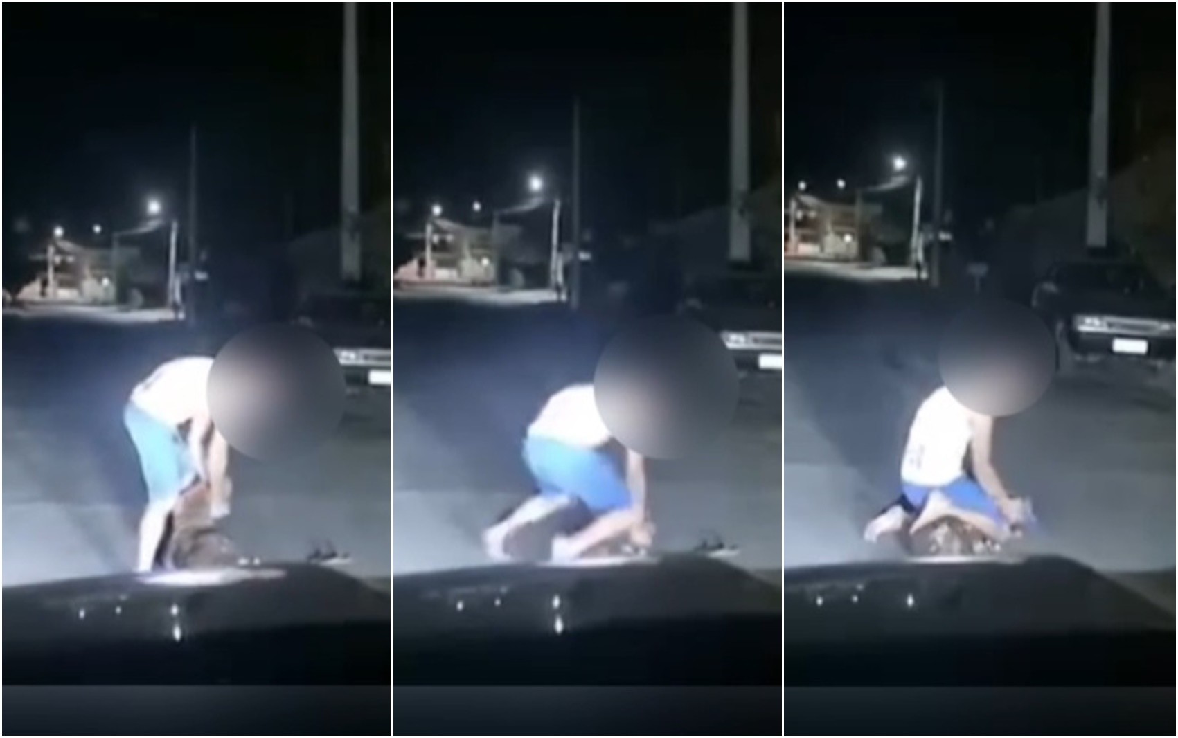 Vídeo mostra quando homem dá socos no rosto de pitbull como 'castigo'