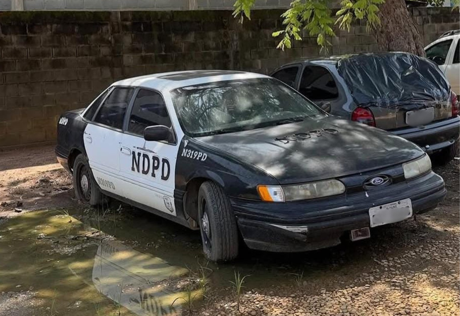 Carro com visual de viatura policial americana desperta curiosidade em Palmas