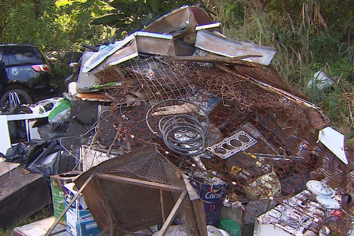 Operação no Banhado: homem vai responder por receptação e outros dois por crime ambiental em São José dos Campos