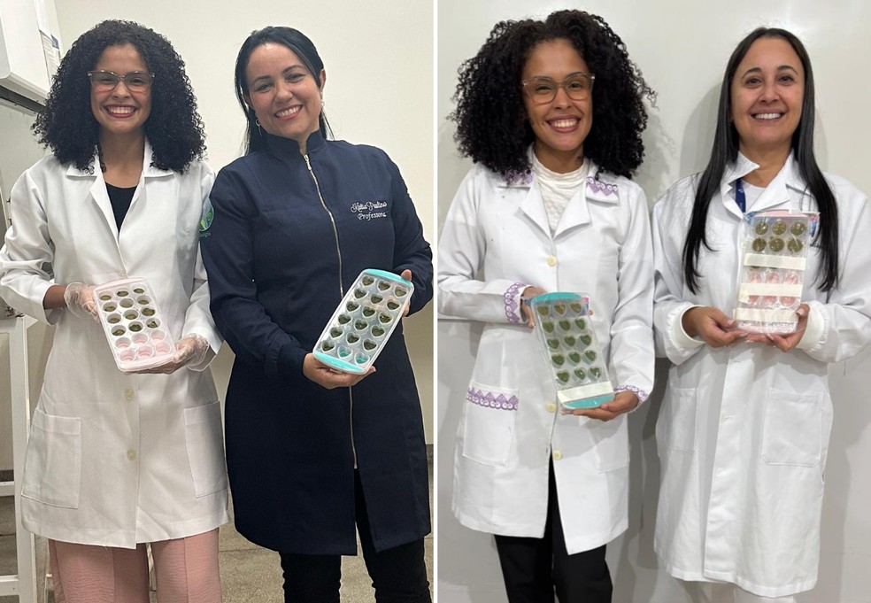 Renatta e as orientadoras Kátia Paulino de Sousa e Lunalva Aurélio Pedroso Sallet  Foto: Arquivo pessoal/Renatta Cardoso