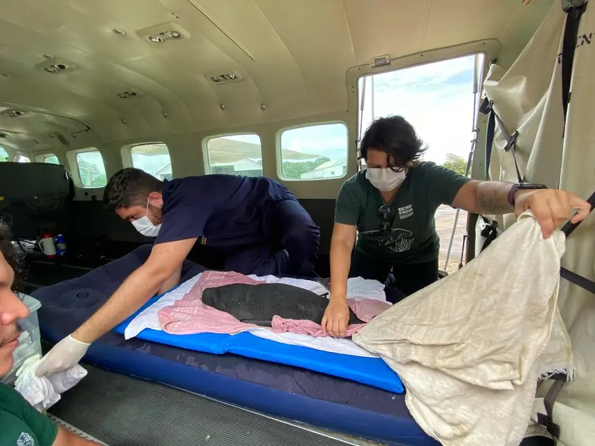 Você Não Tá Convidada pro Meu Bat Mitzvá!