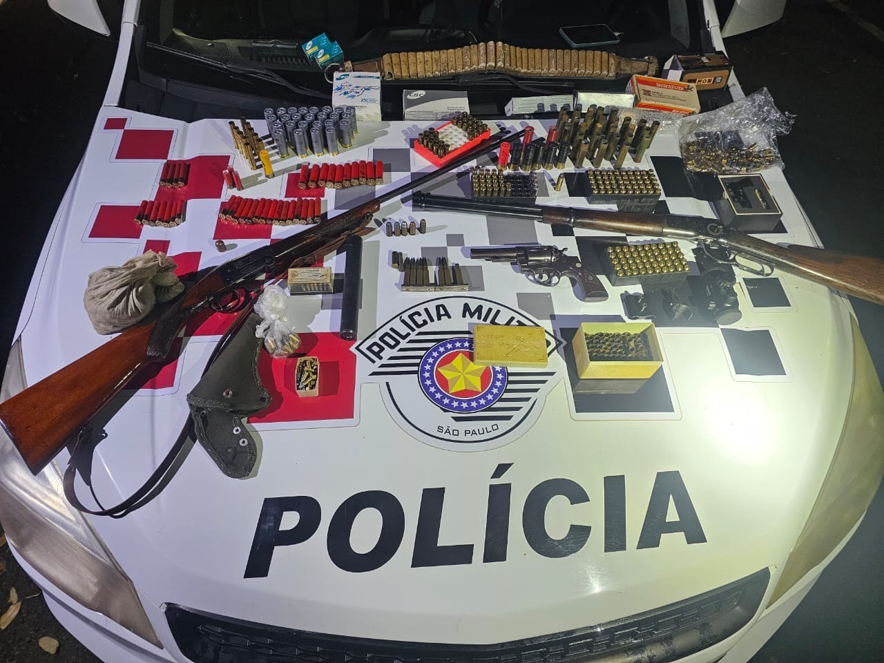 Homem suspeito de agredir o irmão em Ilha Solteira é preso com armas e munição ilegal em casa