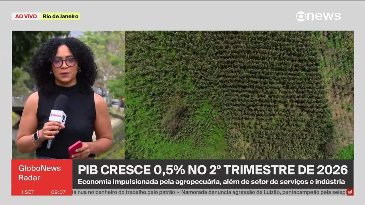 PIB desacelera, mas cresce 0,5% no 2º trimestre, puxado pela agropecuária, diz IBGE