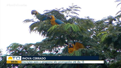 Inscrições para o 'Inova Cerrado' são prorrogadas até dia 15 de setembro