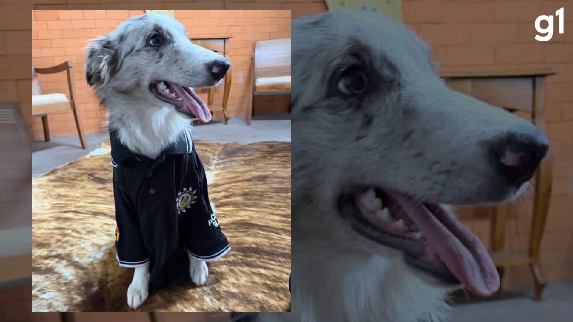 Você Não Tá Convidada pro Meu Bat Mitzvá!