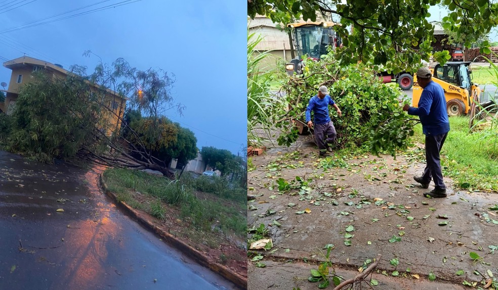 Temporal provoca mais de 20 ocorrências e derruba árvores e postes em Tarabai (SP) — Foto: Defesa Civil/Divulgação