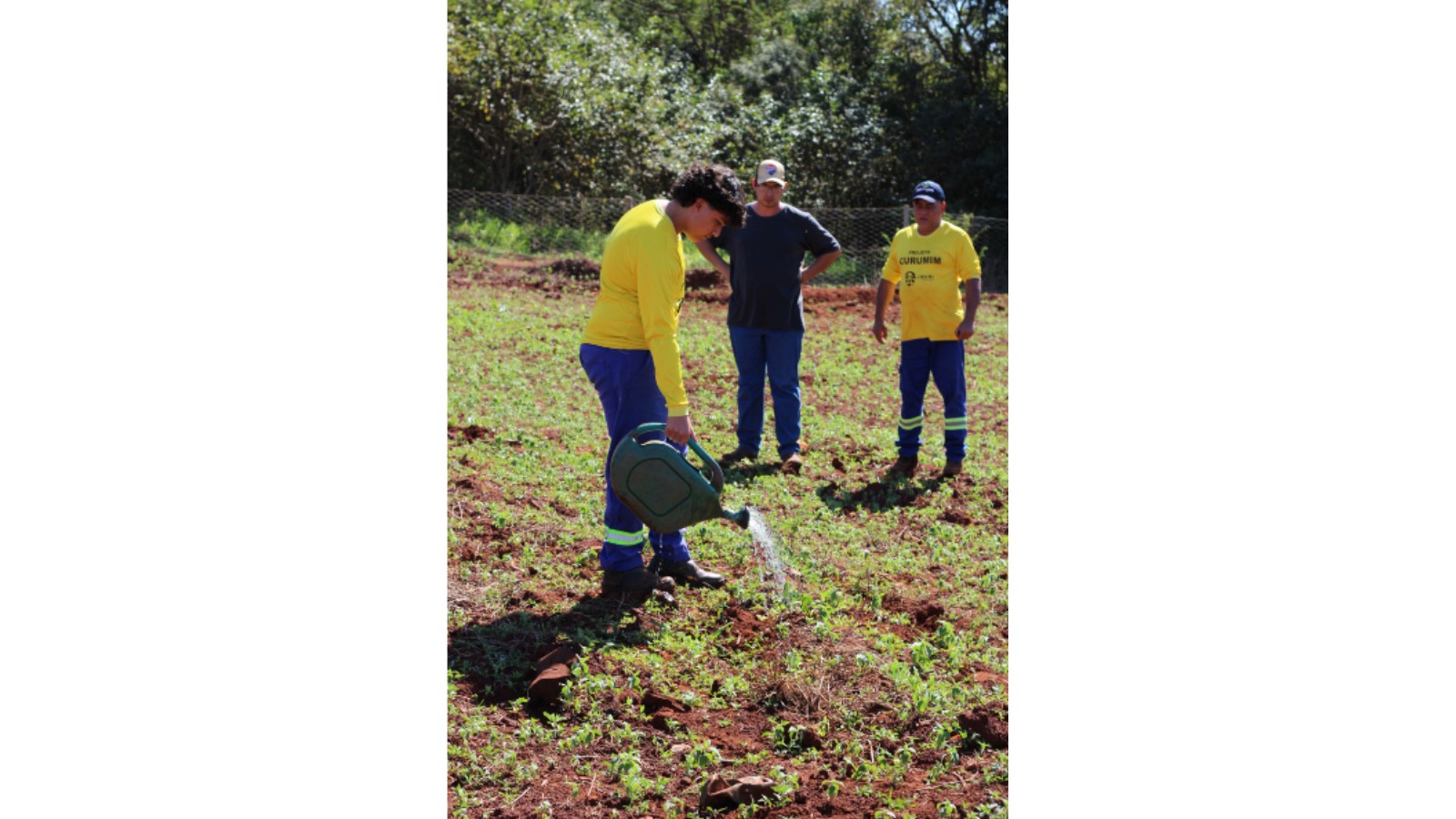 Projeto Aroeira e Curumim transformaram a realidade de Jaborandi