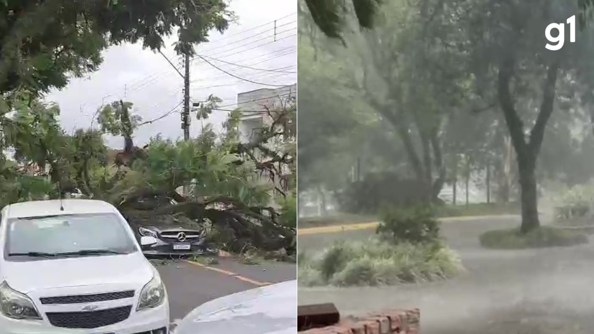 Temporal causa estragos na Região Metropolitana de Porto Alegre; confira a previsão para o RS