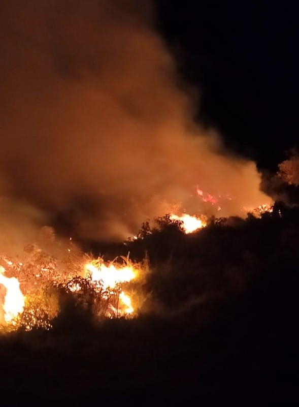 VÍDEO: Incêndio atinge área de mata no Barreiro, em Taubaté