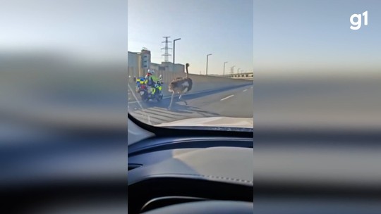 É #FATO vídeo que mostra avestruz fugindo de policiais em estrada - Programa: G1 Fato ou Fake 