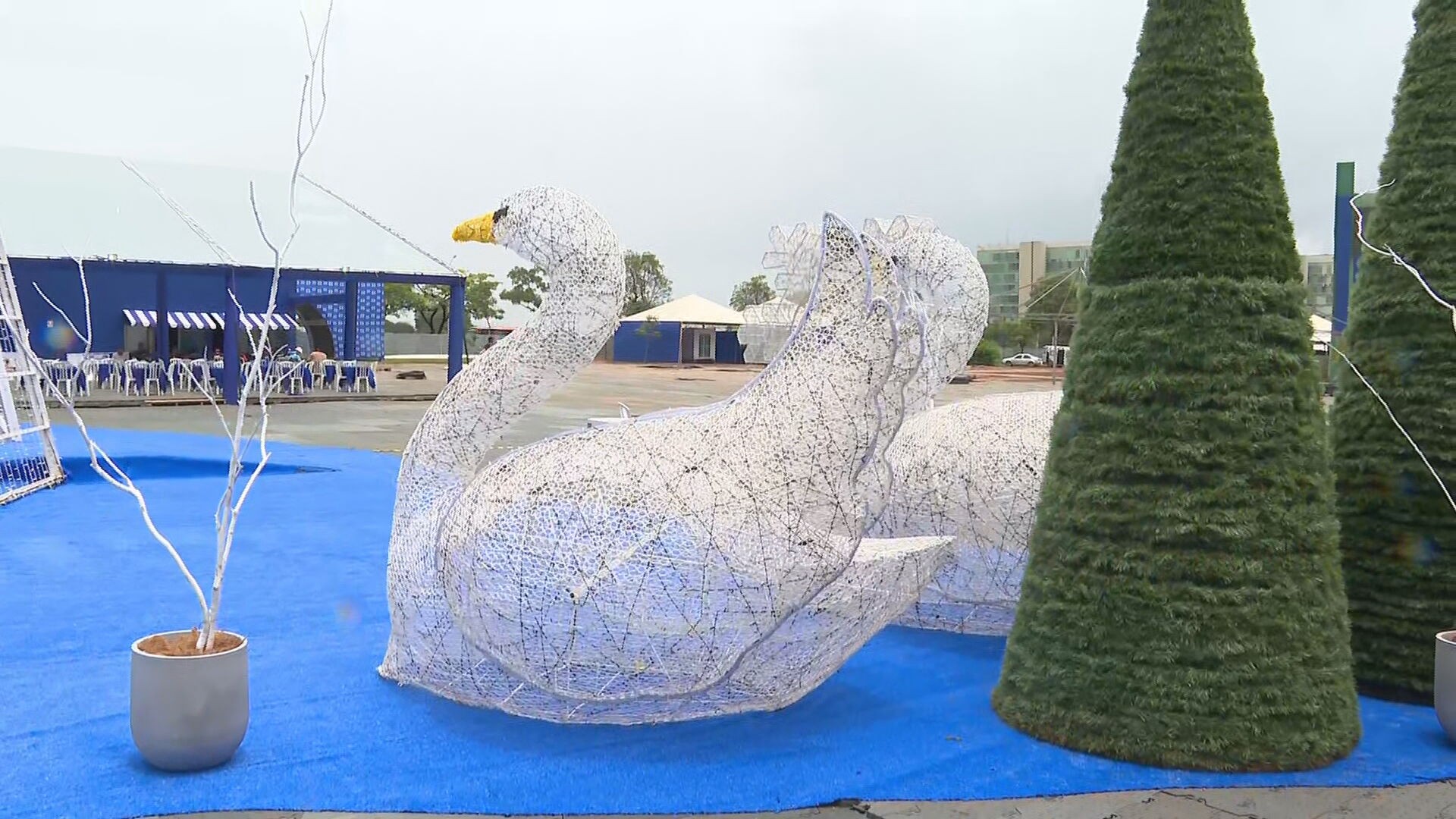 Você Não Tá Convidada pro Meu Bat Mitzvá!