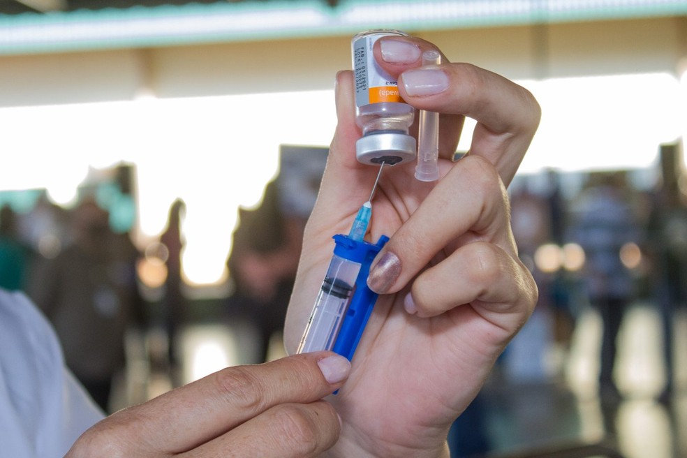 Procura pela vacina contra influenza é baixa em todo o Rio Grande do Norte, aponta Lais — Foto: Reprodução