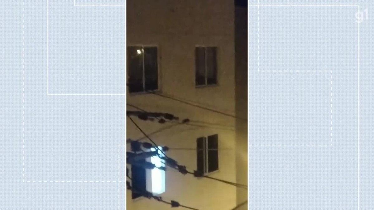 VÍDEO: Cachorrinha pula do 3º andar de prédio em Planaltina, no DF