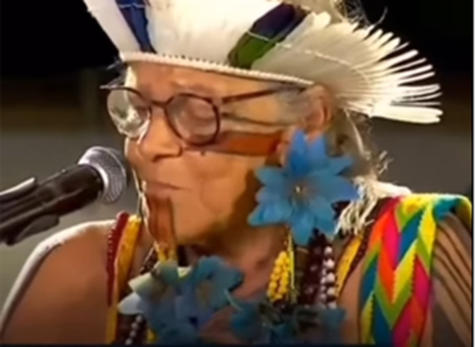 É #FAKE que vídeo de indígena criticando Lula foi gravado na COP30; fala ocorreu em 2024