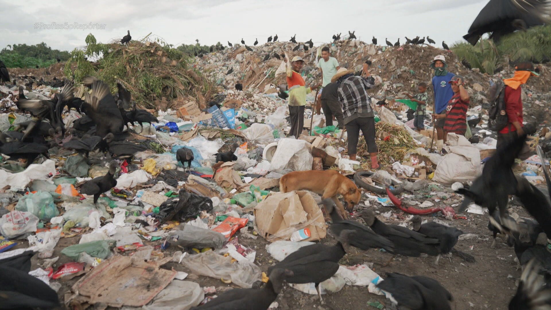Com prazo para fechamento de lixões próximo, Brasil ainda enfrenta descarte inadequado; entenda impacto