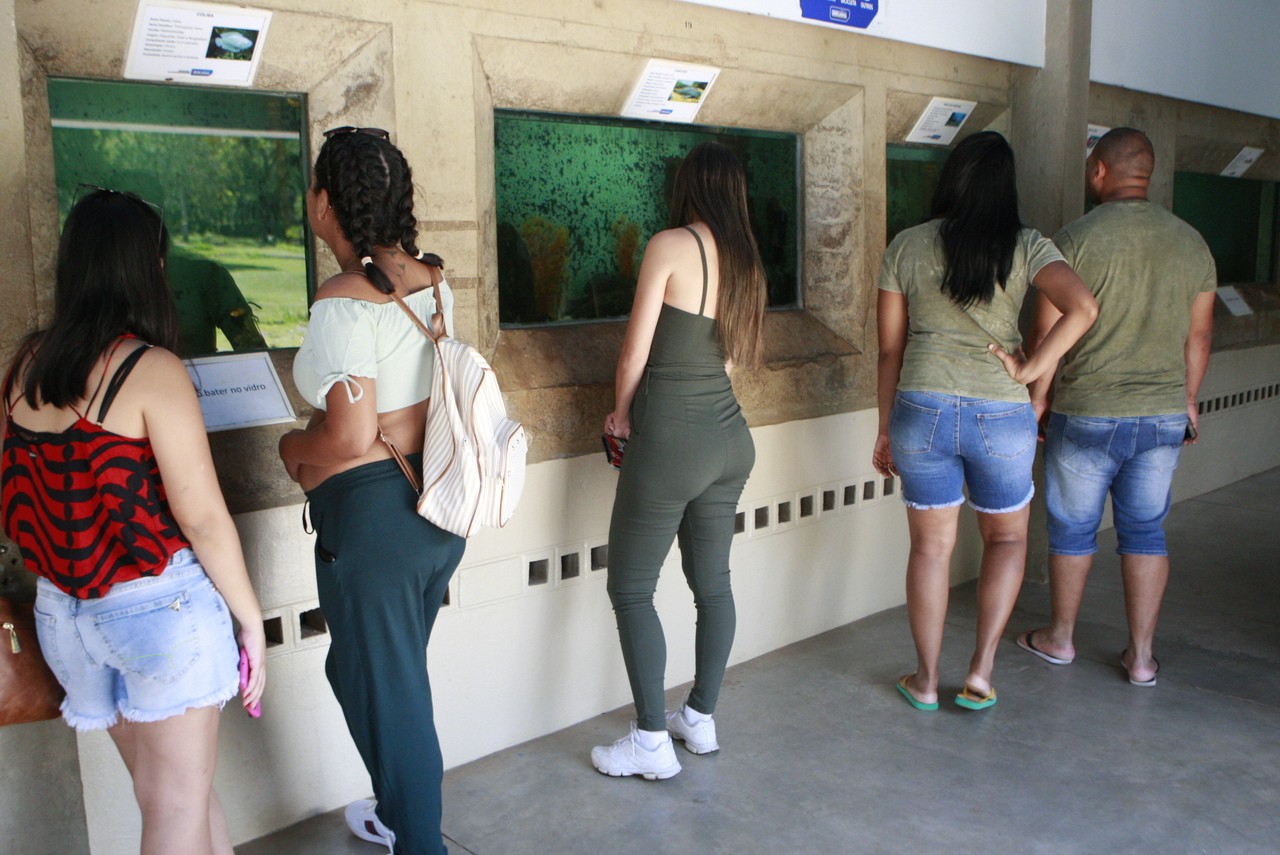 Aquário do Parque do Sabiá é fechado permanentemente após mais de 4 anos sem visitação pública
