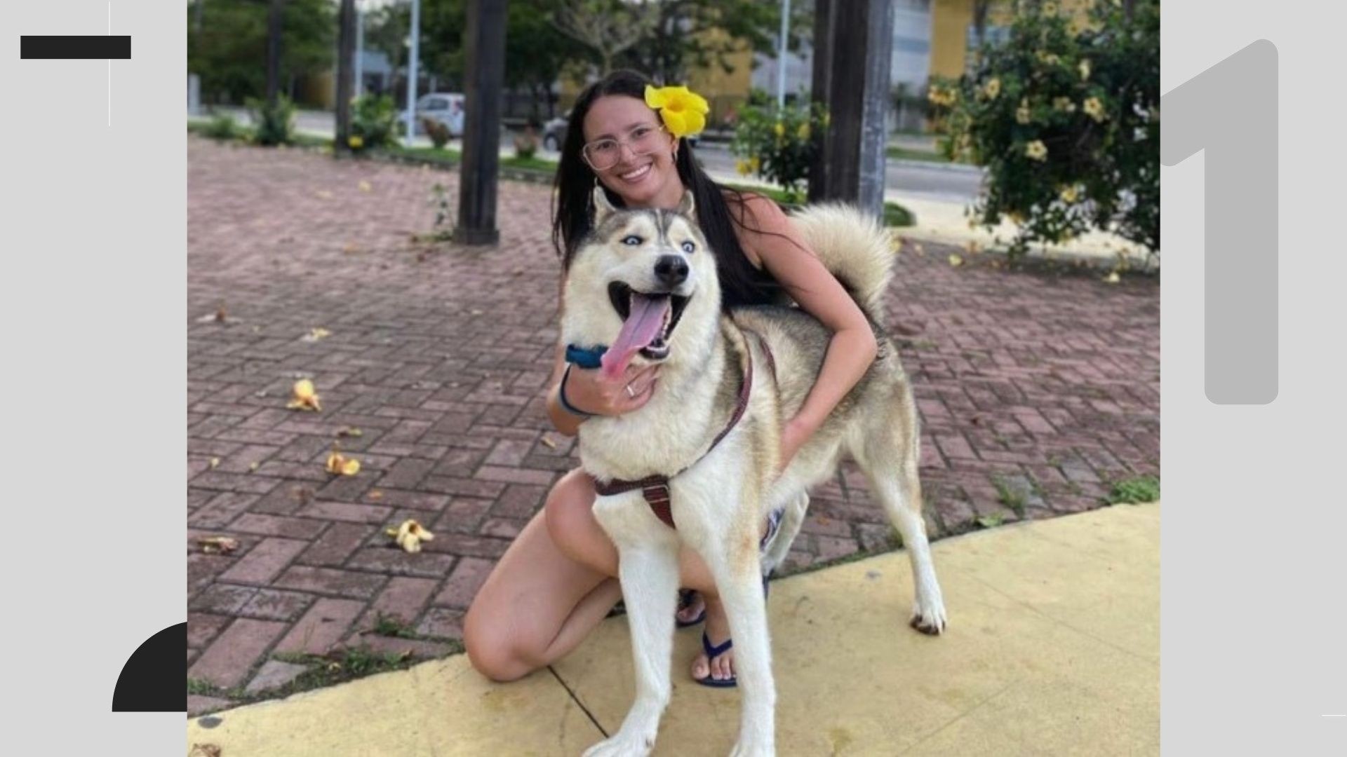 Polícia investiga suspeita de envenenamento de cães após passeios em praça de Linhares