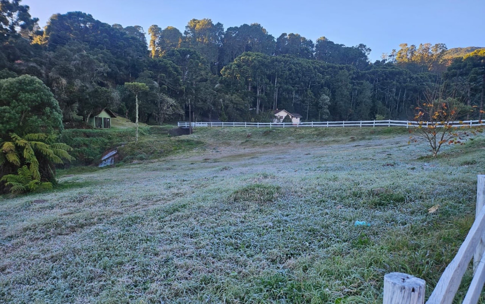 Geada cobre Monte Verde, na Serra da Mantiqueira, após temperatura chegar a 0,4°C em estações locais