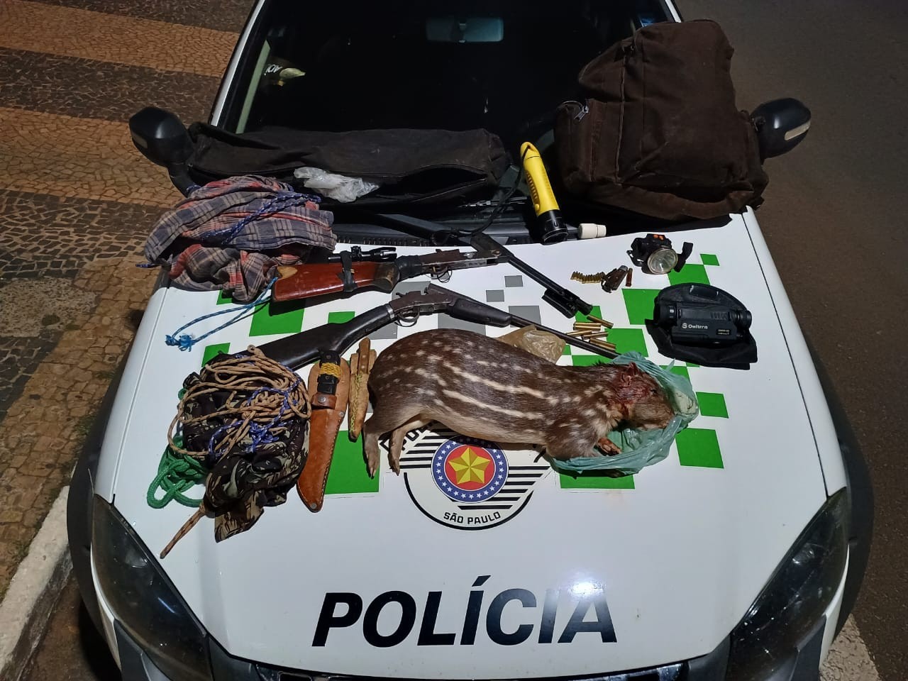 Homem é preso após matar paca durante caça ilegal em Urânia