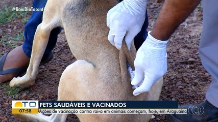 Vacinação antirrábica para cães e gatos é distribuída em Araguaína