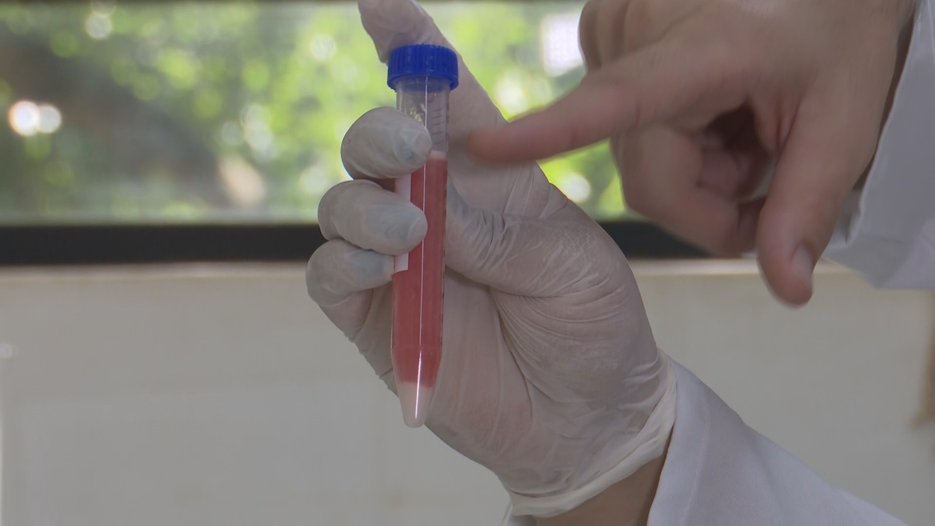Tecnologia desenvolvida com pesquisadores do Paraná ajuda a proteger lavouras de 'estresse ambiental'; entenda