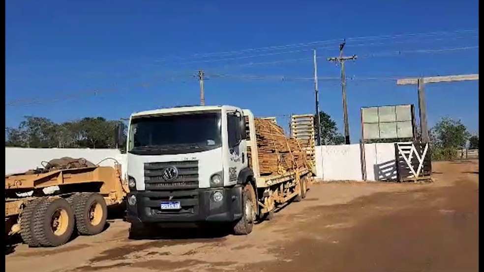 Carregamento de madeira apreendido em Rondônia — Foto: Reprodução/Rede Amazônica