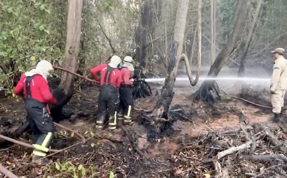 Agentes trabalham para apagar os últimos focos de incêndios no Parque do Cocó. — Foto: Corpo de Bombeiros