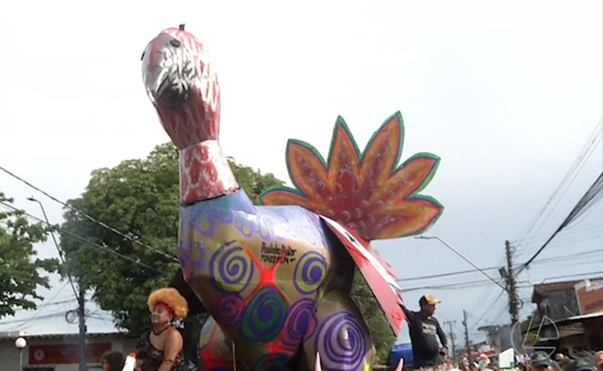 Do mangue aos rios: veja festas de carnaval que animaram diferentes cidades pelo Pará