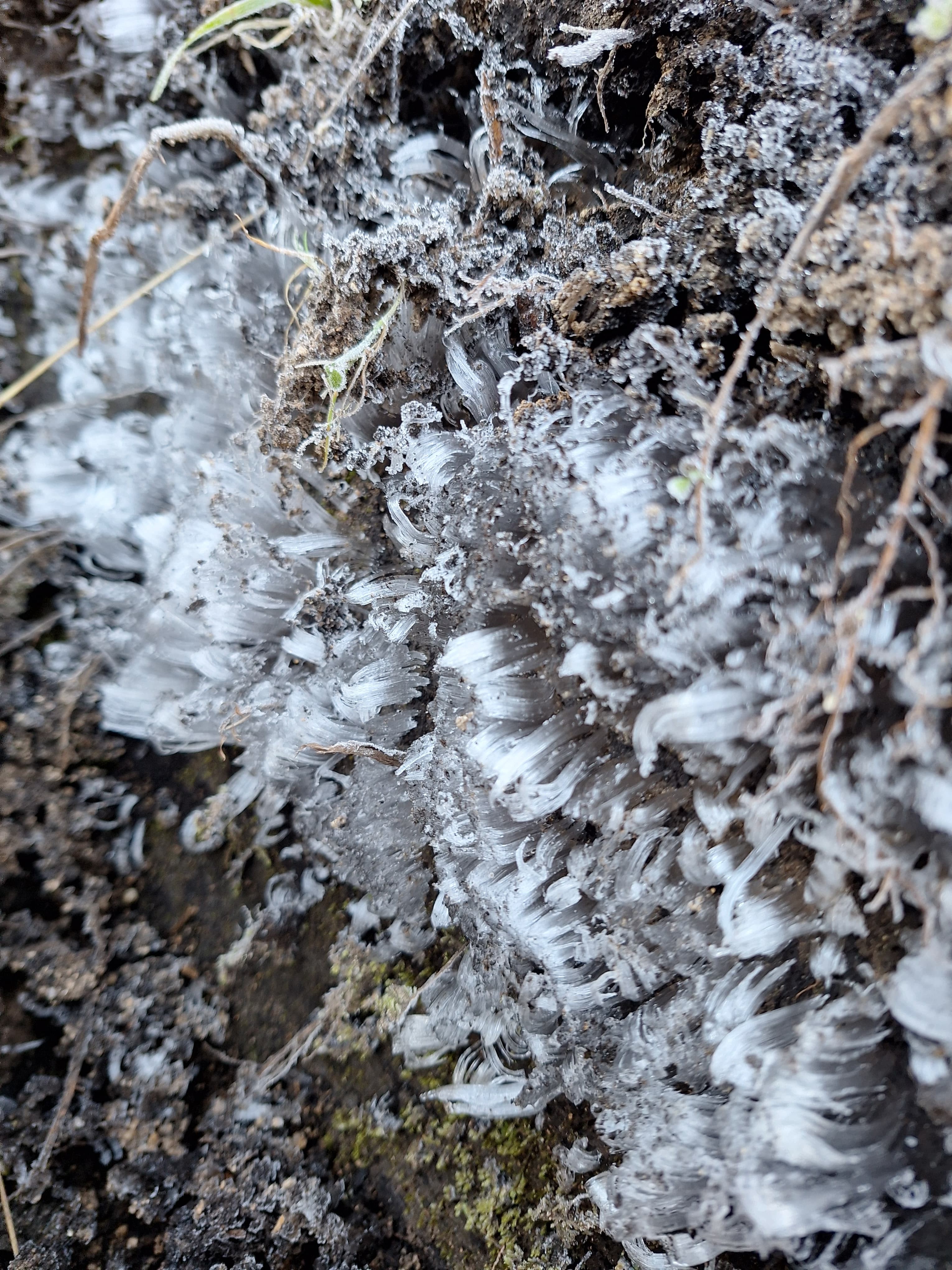 VÍDEO: Parque Nacional do Itatiaia registra -6,8ºC nesta terça-feira
