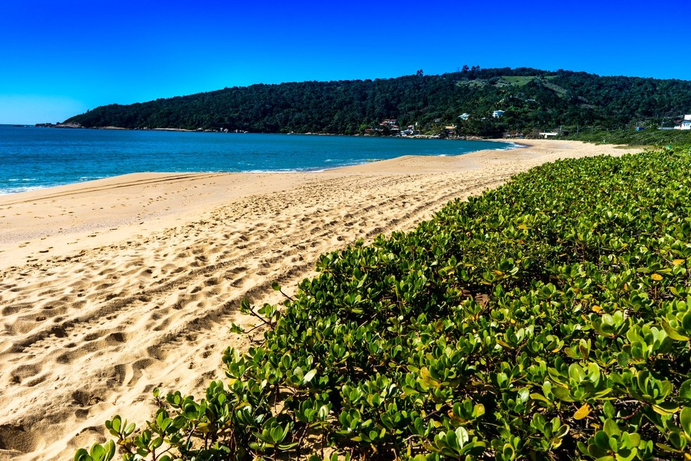 Praia de Taquaras, em Balneário Camboriú, premiada com Bandeira Azul na temporada 2022/2023 — Foto: PMBC/Divulgação