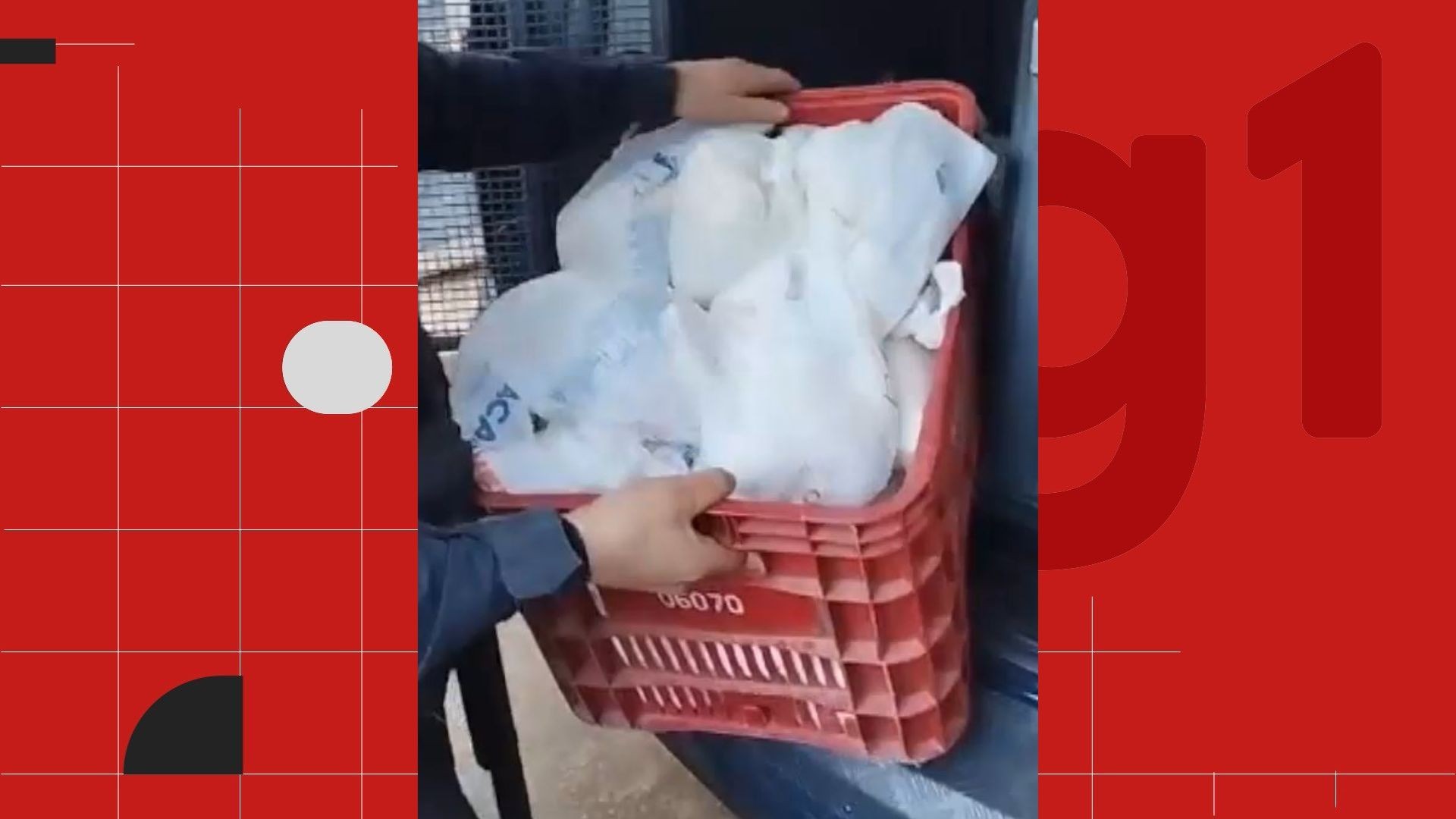 VÍDEO: homem é preso após Guarda descobrir laboratório de cocaína dentro de casa