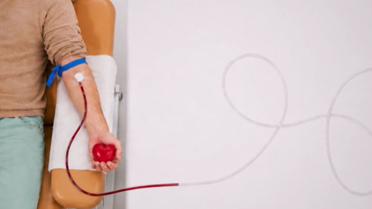 O caminho do sangue: veja como uma doação feita no interior do AM chega até quem precisa