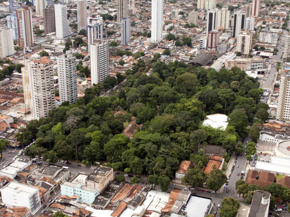 Parque Zoobotânico tem 5,2 hectares de floresta preservada no centro de Belém — Foto: Oswaldo Forte/Libcop