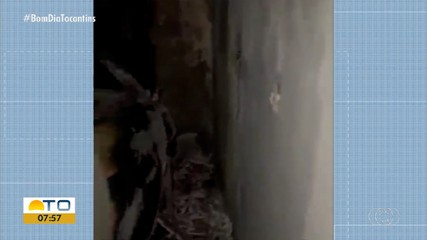 Carro elétrico pega fogo durante carregamento em Palmas