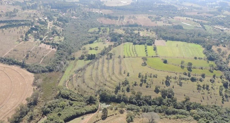 Após despejo, entidades se mobilizam para manutenção de sítioescola na mais antiga fazenda de agricultura não convencional do Brasil