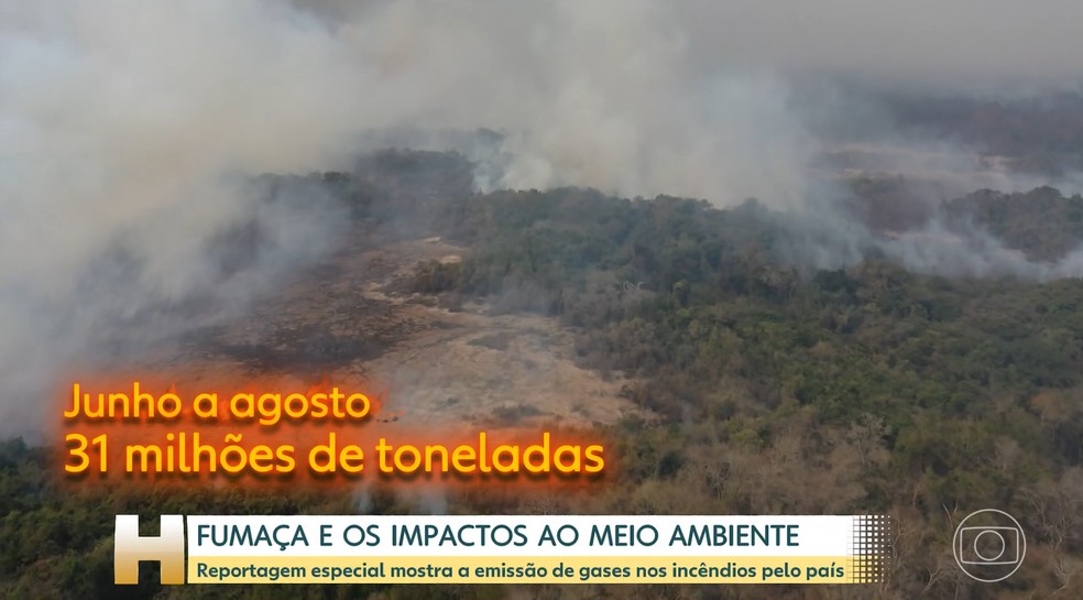 31 milhões de toneladas de CO2 foram emitidos de junho a agosto pela Amazônia. — Foto: Jornal Hoje