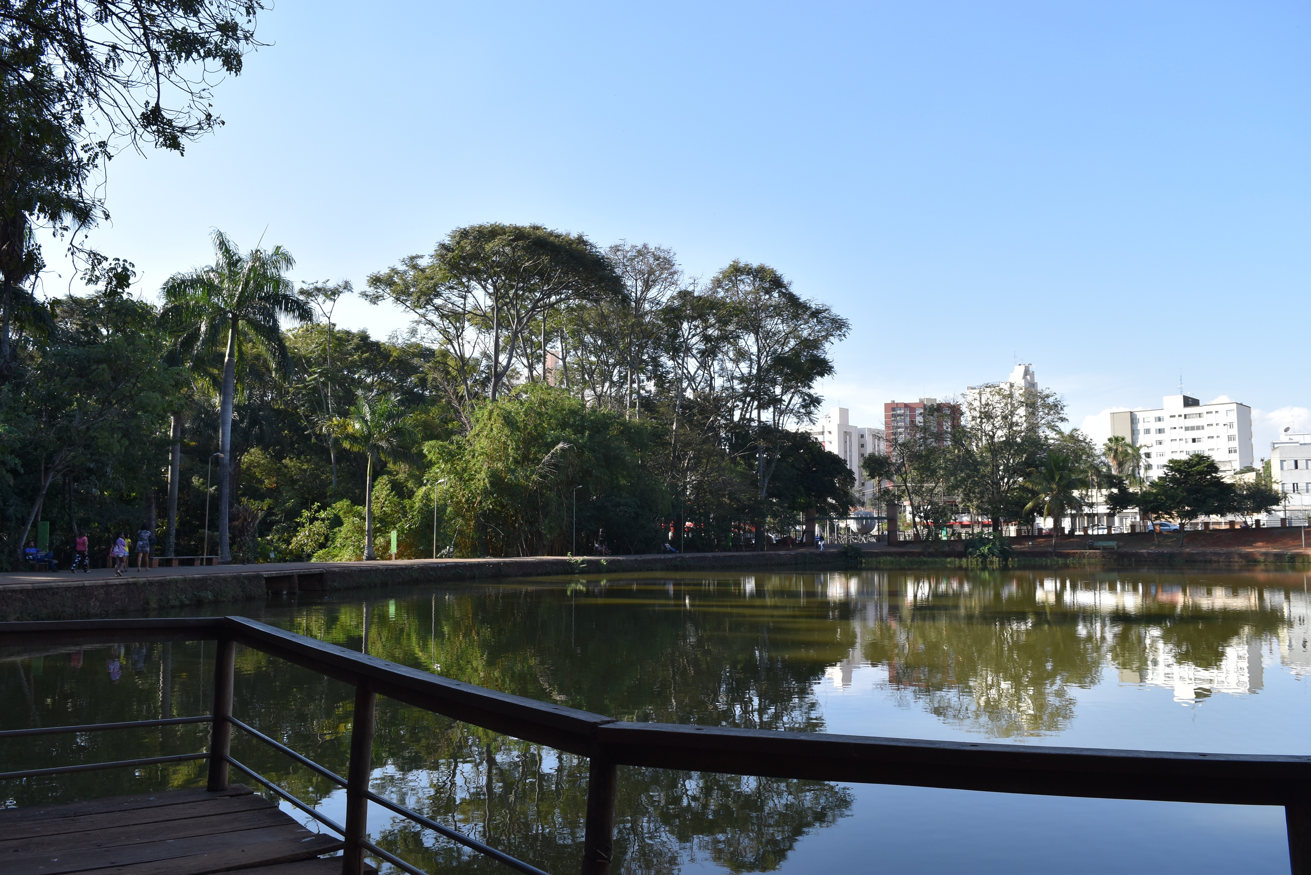 Chá revelação e aniversário em parques: veja regras para realizar eventos em áreas públicas em Goiânia