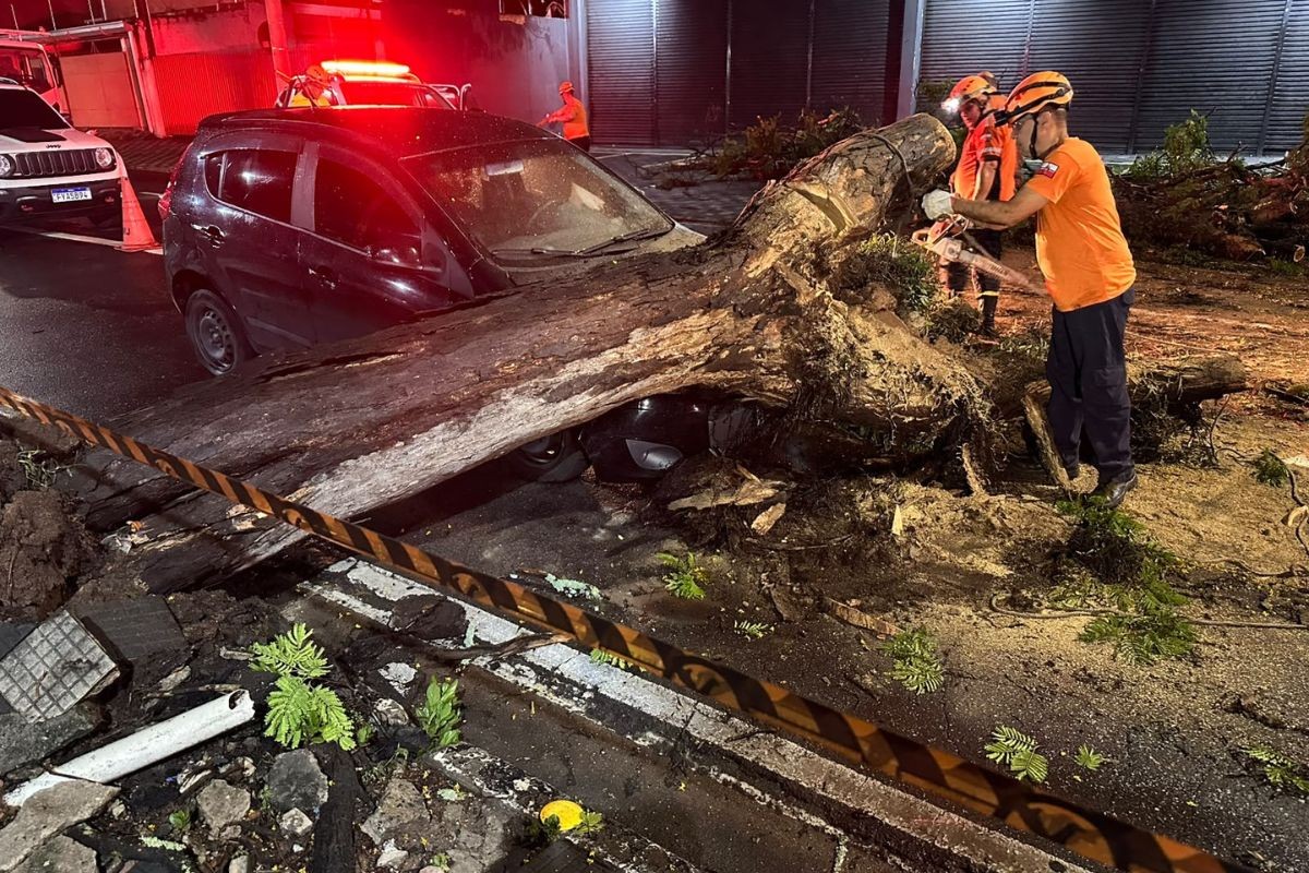 Árvore de grande porte cai e atinge carro em avenida de Jacareí